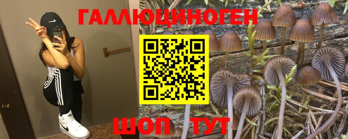 цена наркотик  Вход с VPN  Электросталь  Псилоцибиновые грибы мухоморы  Галлюциногенные грибы мицелий 